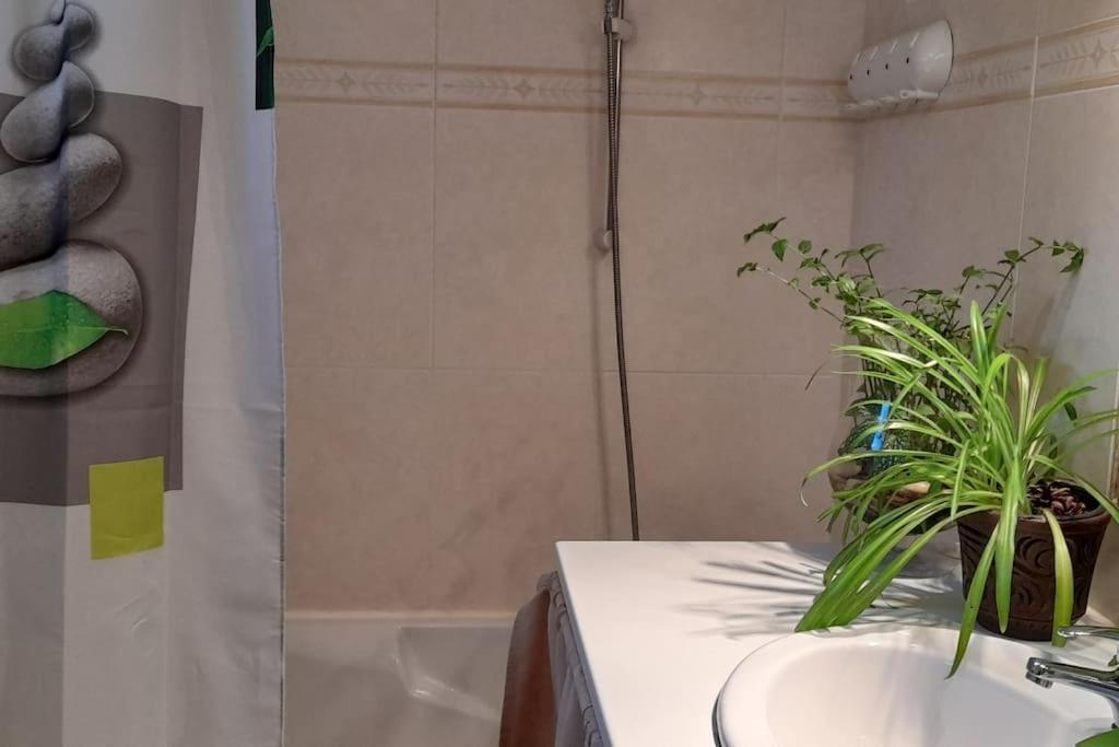 Le Chausse A Bres Chambre D'Hotes 2 Payzac Kültér fotó