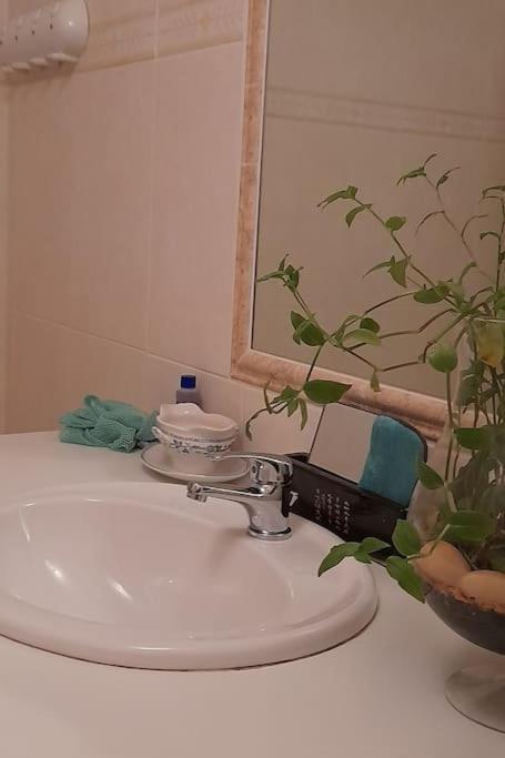 Le Chausse A Bres Chambre D'Hotes 2 Payzac Kültér fotó